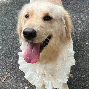 Thú Cưng Yếm Bốn Mùa Chó Nước Bọt Khăn Cho Chó Yếm Lớn Vừa Chó Nhỏ Vàng Retriever Ren Trang Trí Yếm Khăn