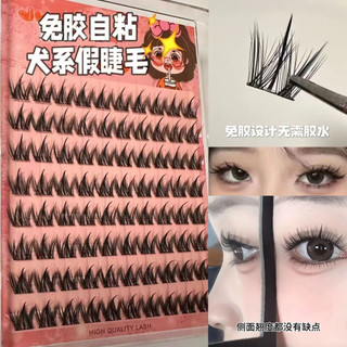 100 Cụm Chó Con Không Keo Dung Tích Lớn ~ Chó Dòng Mắt Chó Lông Mi Giả Lười Tự Nhiên Truyện Tranh Phong Cách 25.12.12