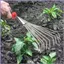Tay Rake Nhỏ Chống Trơn Trượt Cỏ Tẩy Tay Có Tay Cầm Tiện Dụng Cho Sân Ngoài Trời Con Đường Trang Trại Patio mueadsyvn