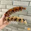 Kẹp Tóc Chuối FashionPrint Cho Bé Gái Móng Vuốt Tóc Mờ Chống Trơn Trượt Giữ Mạnh Cho Thể Thao Và Trường Học Mới