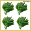 Bộ 50 Trang Trí Ngoài Trời Trong Nhà Lá Tre Nhân Tạo Stalks 16.00X13.00X1.00CM Xanh khxinggao