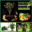 Dầu Phục Hồi Đất Cho Bãi Cỏ 120g Hoa Bột Dinh Dưỡng Hoa Rau Chất Dinh Dưỡng Cho Người Làm Vườn Nông Dân Người Trồng jiwvn