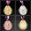 JCSYFAC Marathon Huy chương Vàng Huy chương Bạc Cúp Huy chương Người chiến thắng Phần thưởng Khuyến khích Huy hiệu Huy hiệu Giải thưởng Thi đấu ngoài trời Mới