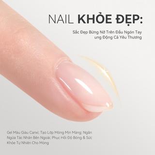 Miss Gooey Gel Nail 6 trong 1 cho Salon - Base Coat Gel xây dựng cho độ bền xây dựng lớp phủ trên làm cứng & gel cho đầu móng & extension