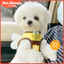 Hàn Quốc🇰🇷Little Bee Pet Dây đeo ngực Dây xích chó dễ thương Dây đeo ngực thú cưng Dây đeo ngực mèo Dây đeo ngực cho chó Dây xích mèo Dây đeo ngực thoáng khí Dây xích đi chơi Dây xích mèo / Chó nhỏ / Pomeranian Teddy Schnauzer