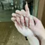Làm Móng Tay Nguyên Chất Làm Móng Tay Đeo Móng Tay Giữa Chiều Dài Cao Cấp Pure Desire Phong Cách Nhẹ Sang Trọng Làm Trắng Da Học Sinh Pháp Tùy Chỉnh