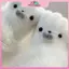 MYPANDA Khăn quàng cổ cho bé dễ thương Người tuyết Găng tay sang trọng Găng tay chống lạnh ấm áp mùa đông Găng tay hợp thời trang năm ngón Găng tay hợp thời trang Quà tặng Giáng sinh nữ tính.