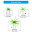 Shas Sea Urchins Mồi để tăng cường thu hút cá trong các điều kiện câu cá khác nhau