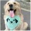 Ins Influencer 2026 Thú Cưng Chó Con Tam Giác Khăn Nước Bọt Khăn Lớn Vừa Nhỏ Chó Vàng Retriever Husky Trang Trí Thú Cưng