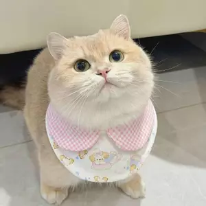Mèo Chó Nước Bọt Khăn Thú Cưng Mèo Con Yếm Màu Hồng Cổ Chó Nhỏ Yếm Có Thể Điều Chỉnh Trang Trí