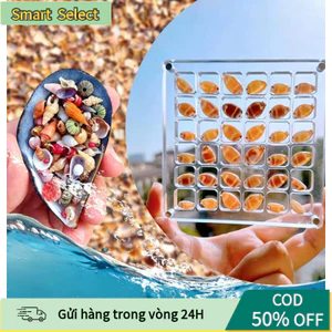 Hộp Trưng Bày Từ Tính Acrylic Trong Suốt 12x12cm - 36 Ô 1.5x1.5cm, Dùng Đựng Vỏ Sò, Đá Quý