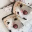 Gương gấp mini họa tiết mèo ngạc nhiên ngộ nghĩnh chống vỡ tiện mang đi