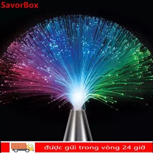 SAVORBOX Đèn sợi quang đám cưới Trang trí ngày lễ Quà tặng Đèn LED ngôi sao