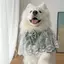 Samoyed Vừa Lớn Chó Nước Bọt Khăn Khăn Cho Chó Nước Bọt Túi Yếm Yếm Trang Sức Thú Cưng Yếm Dễ Thương
