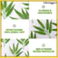 Bộ 50 Trang Trí Ngoài Trời Trong Nhà Lá Tre Nhân Tạo Stalks 16.00X13.00X1.00CM Xanh khxinggao