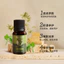 Tinh dầu hoa hồng ngải cứu Chăm sóc da mặt Tinh dầu Massage dưỡng ẩm cơ thể