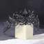 PYCOU Moon Tiara, Màu Đen Phong Cách Vintage Vương Miện Nữ Hoàng, Tóc Đậm Phụ Kiện Trang Sức Thanh Lịch Thiết Kế Sang Trọng Ngôi Sao Mũ Đội Đầu Nữ