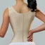 AWNGD Eo Huấn Luyện Corset, Có Thể Điều Chỉnh Dây Kéo Xương Thép Hỗ Trợ Định Hình Cơ Thể, Nhiều Màu Móc Mắt Đóng Cửa Chất Liệu Cao Su Thiết Kế Hai Lớp Định Hình Eo Top Trang Phục Thể Dục