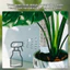 Mới 1 / 2 Miếng Dán Hỗ Trợ Cây Leo Núi Cực Rêu Có Thể Slicable Cho Monstera Pothos