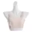 PNPIA- Bảng điều khiển khiêm tốn Chèn Camisole cho nữ Kẹp trên áo ngực Lớp phủ có thể điều chỉnh Phù hợp cho bữa tiệc công sở hàng ngày và sử dụng du lịch