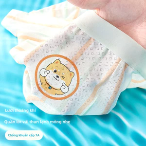 Quần lót bé trai mùa hè, thoáng khí, lưới thoáng khí, không trống hông, lớp A, kháng khuẩn, lớp 10A