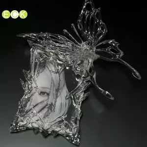 Hộp đựng thẻ ảnh hình bướm trong suốt 3D thẩm mỹ Kpop Hộp đựng thẻ bảo vệ thẻ nhỏ Vỏ đựng thẻ cảm giác cao cấp Đẹp