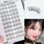 Hàn Quốc Idol Keo Lông Mi Giả Miễn Phí Tự Nhiên C Curl Sợi Tổng Hợp Nhẹ Mặc Hàng Ngày