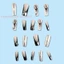 Người Phụ Nữ Siêu Dài Pháp Giả Móng Tay Bạc Hạt Dây Xích Ngôi Sao Trang Trí Ballerina Đầu Móng Tay Cho Salon Expert Và Naive Nữ