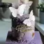 JCSYFAC 1 Nga С ❈ ❈ Cake Topper Acrylic Chữ Nga Chúc Mừng Sinh Nhật Bánh Topper Cho Tiệc Sinh Nhật Trang Trí Bánh Mới