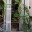 Mới 1 / 2 Miếng Dán Hỗ Trợ Cây Leo Núi Cực Rêu Có Thể Slicable Cho Monstera Pothos