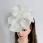 THEGIRL8B Băng Đô Hoa Hồng Lớn, Mũ Fascinator Cổ Điển Ngọt Ngào Tinh Tế, Retro Thanh Lịch Top Mũ Tóc Vòng Hóa Trang Tóc Ban Nhạc Chụp Ảnh
