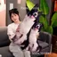 THEGIRL8B Gối Nhồi Bông Cho Chó, Labrador Corgi Shiba Inu Bulldog Đồ Chơi Sang Trọng Cho Chó, Quà Tặng Người Yêu Thú Cưng Trang Trí Nhà Sofa Như Thật Phòng Ngủ Đệm Chó Thú Nhồi Bông
