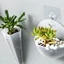 1 Chiếc Mới Treo Tường Chậu Hoa Trắng Trong Suốt Dải Tròn Treo Cây Có Móc Cho Cây mọng Nước Và Thủy Canh
