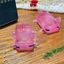 Cinna Plastic Axolotl Đồ chơi giảm căng thẳng phục hồi chậm Công cụ giảm lo âu thực tế cho văn phòng tại nhà hoặc du lịch