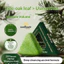 Xà phòng dầu gội Cypress Leaf Usman Soft Plumping Hair Plant Formula Gentle Chống ngứa