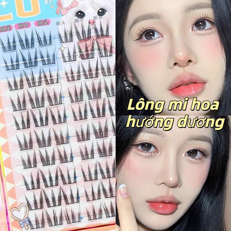 🚚【giao Hàng 24h】10 Cặp Lông Mi Giả Cat Paw Hướng Dương Siêu Tự Nhiên Và Hiệu Ứng Mở Mắt Dày