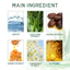 OUHOE Aloe Vera Nhẹ Nhàng Kem Dưỡng Ẩm Tươi Dưỡng Ẩm Mềm Mại Thoáng Khí Ánh Sáng Trong Suốt Thoải Mái Trang Điểm Kem Lót