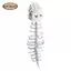 Phụ kiện trang phục bộ xương khủng long Halloween, chủ đề biểu diễn sân khấu, lễ hội