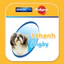 Bánh Xương Chăm Sóc Răng cho Chó PEDIGREE Dentastix