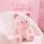 Spike Price MINISO MINISO MINISO MINISO Sang Trọng Búp Bê Đồ Chơi Búp Bê Dễ Thương Quà Tặng Búp Bê