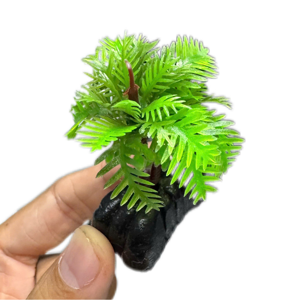 Bụi Dừa Nhân Tạo Trang Trí Bể Cá, Tiểu Cảnh (Cao 7cm)