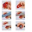 Máy cắt ống nhựa PVC Shixin Cắt thủ công Ống nhựa PVC Ống xoay Dụng cụ tiện dụng Dụng cụ sửa ống nước di động mới chuyên dụng031103