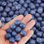 PNPIA- Nhựa Blueberry Charm 3D Trang Trí 10 Chiếc Mô Phỏng Mặt Dây Chuyền Trái Cây Cho Thủ Công Đồ Trang Trí DIY