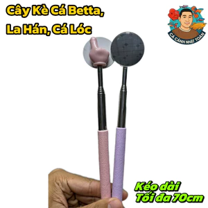 Cây Kè Kính Tròn Cho Cá Betta, Cá Lóc, La Hán (Kéo Dài 70cm) Siêu Dễ Thương