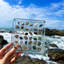 Hộp Trưng Bày Từ Tính Acrylic Trong Suốt 12x12cm - 36 Ô 1.5x1.5cm, Dùng Đựng Vỏ Sò, Đá Quý