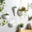 1 Chiếc Mới Treo Tường Chậu Hoa Trắng Trong Suốt Dải Tròn Treo Cây Có Móc Cho Cây mọng Nước Và Thủy Canh