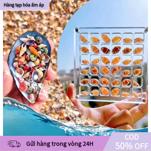Hộp Trưng Bày Từ Tính 36 Ngăn Acrylic - Đựng Vỏ Sò, Pha Lê, Đá Quý Nghệ Thuật, Linh Kiện Nhỏ