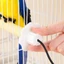 Đế sưởi bằng nhựa hàng đầu cho phụ kiện lồng chim Làm sạch bằng cách bảo trì vải ướt