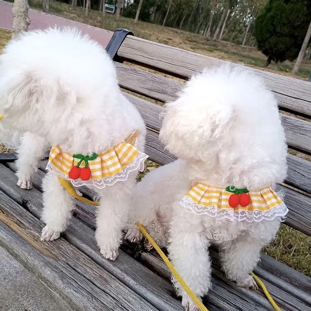 Dây kéo cho chó Dây đeo ngực Tương tự Khăn ren Dây đeo ngực Mèo Vest Phong cách Pomeranian Teddy Bichon Dây đi bộ cho chó nhỏ Dây xích chó cỡ vừa