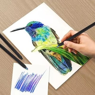 Mới 5 / 10 Chiếc Bút Chì Màu 7 Màu Dành Cho Trẻ Em Trường Nghệ Thuật Lớp Vẽ Sở Thích Và Dự Án Sáng Tạo